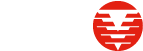 DSM