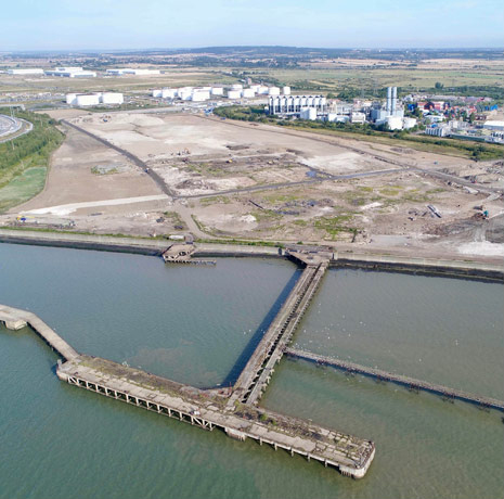 DSM remediation services